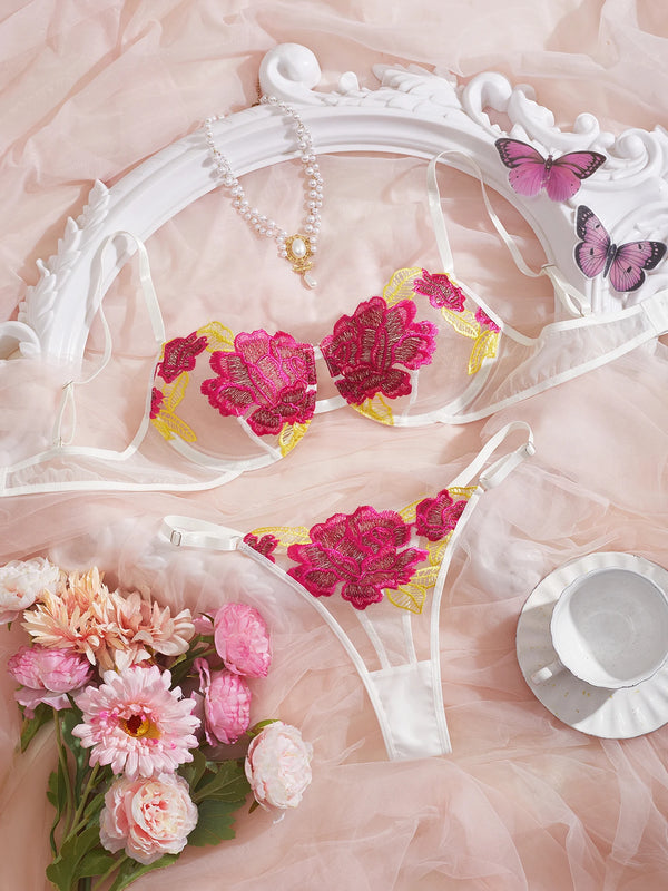 Erotic Sexy Lace Bra and Panty Set Underwear Transparent Bra Exotic Sets Sexy Thong Woman Porn Fancy Sensual Luxury Lingerie
