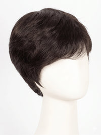 Rich Chocolate #2 Dark Brown Pixie Cut Wig 6X6 Silk Base PU Front Glueless Wear and Go Wig 100% Brazilian Remy Hair Short Wigs