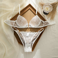 French Style Sexy Embroidered Transparent Underwear Set V-Neck Design Anti-Sagging Breathable Bra and Panties Ensemble