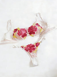 Erotic Sexy Lace Bra and Panty Set Underwear Transparent Bra Exotic Sets Sexy Thong Woman Porn Fancy Sensual Luxury Lingerie